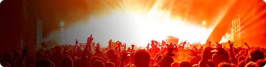 Concert crowd