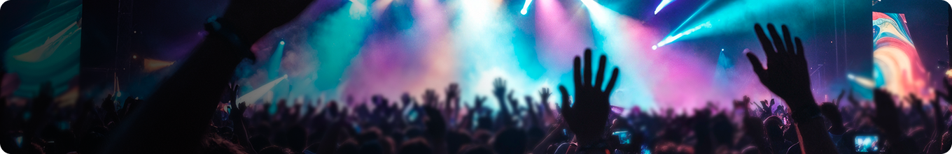 Concert crowd